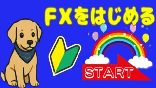 FXをはじめる ユロ おすすめカード